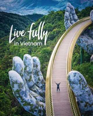 fully_vietnam