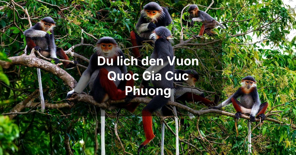 Vườn quốc gia Cúc Phương - Khám phá đa dạng sinh học của Việt Nam